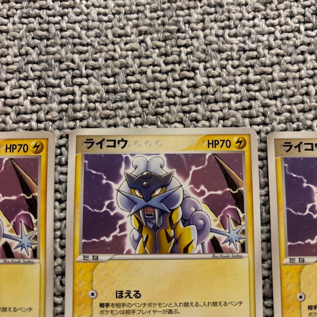 ポケパーク　ライコウ