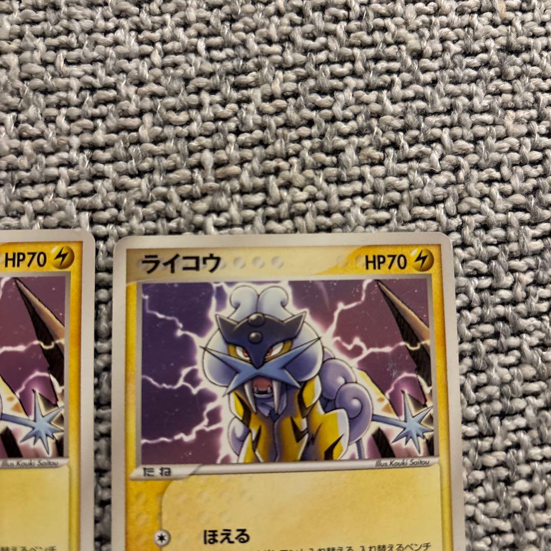 ポケパーク　ライコウ