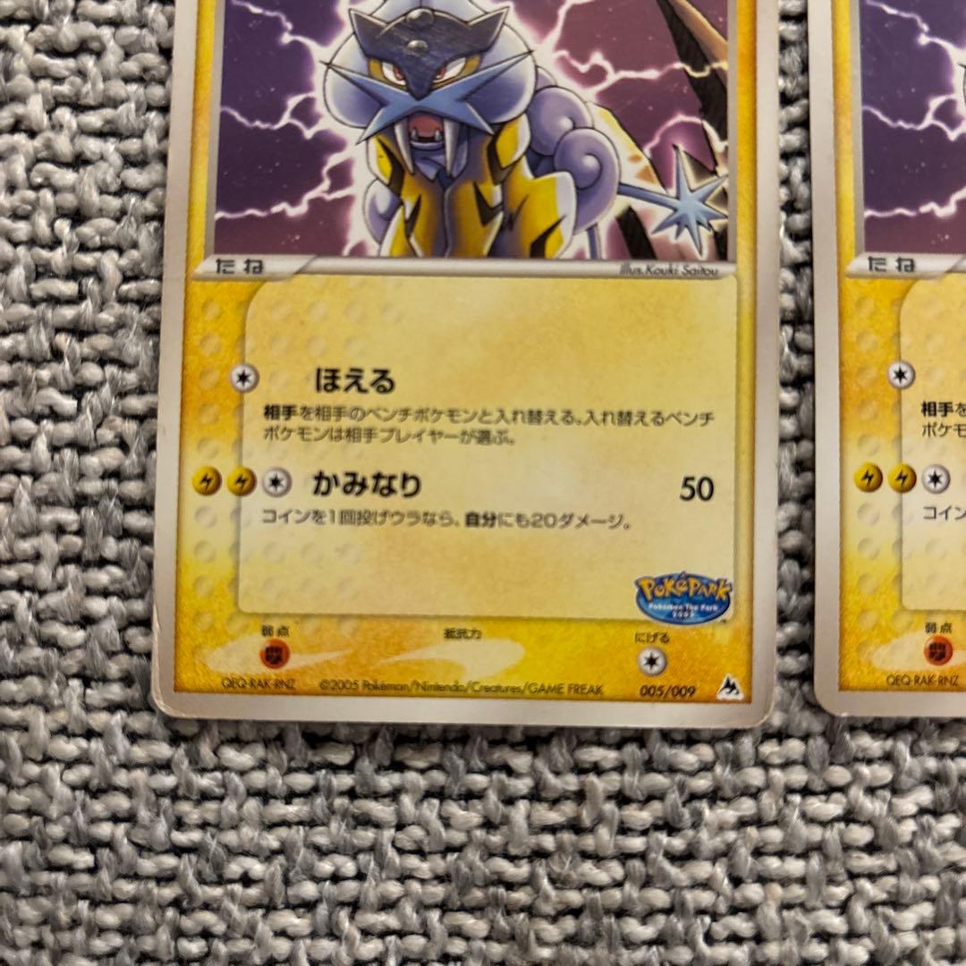 ポケパーク　ライコウ