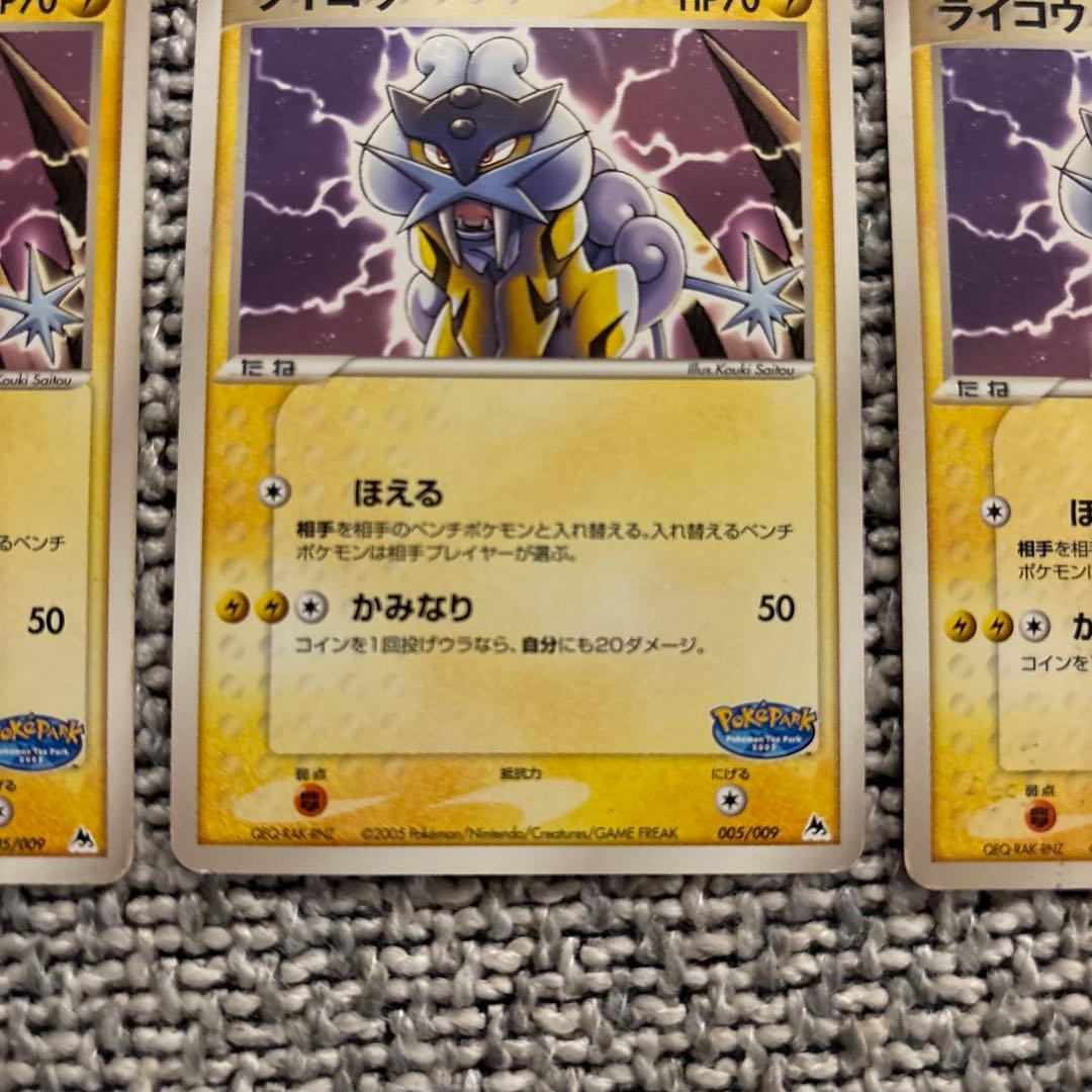 ポケパーク　ライコウ