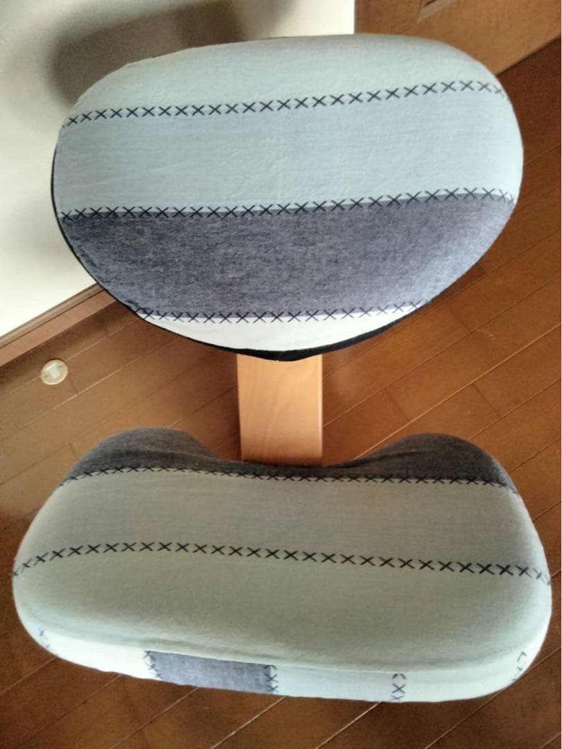 前後イージーローラー付き★サカモトハウス バランスイージー （バランスチェア）