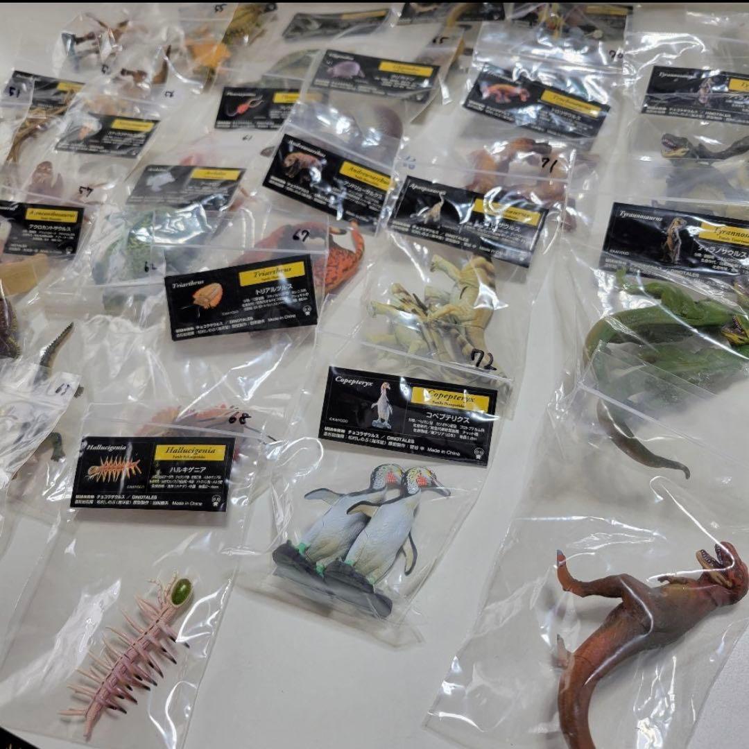 tt　チョコラザウルス第3シリーズ前24種＋シークレット