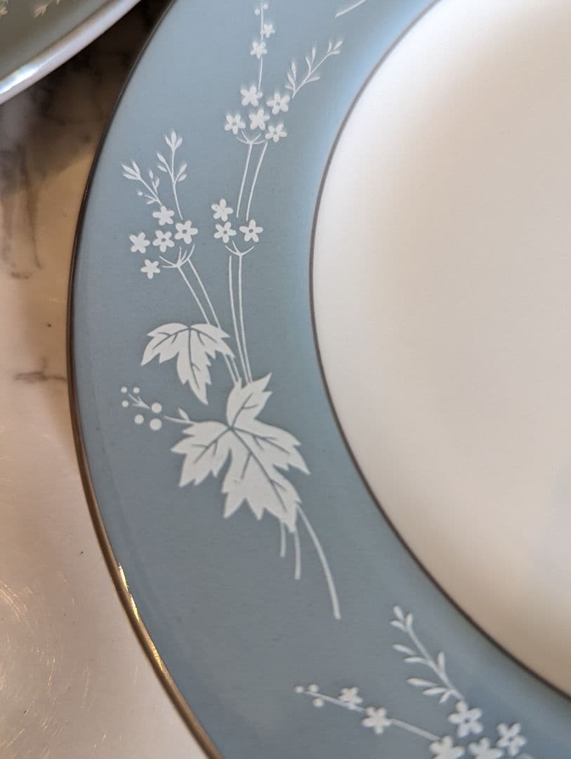 ロイヤルドルトン　リフレクション　Reflection　TC1008 6枚セット