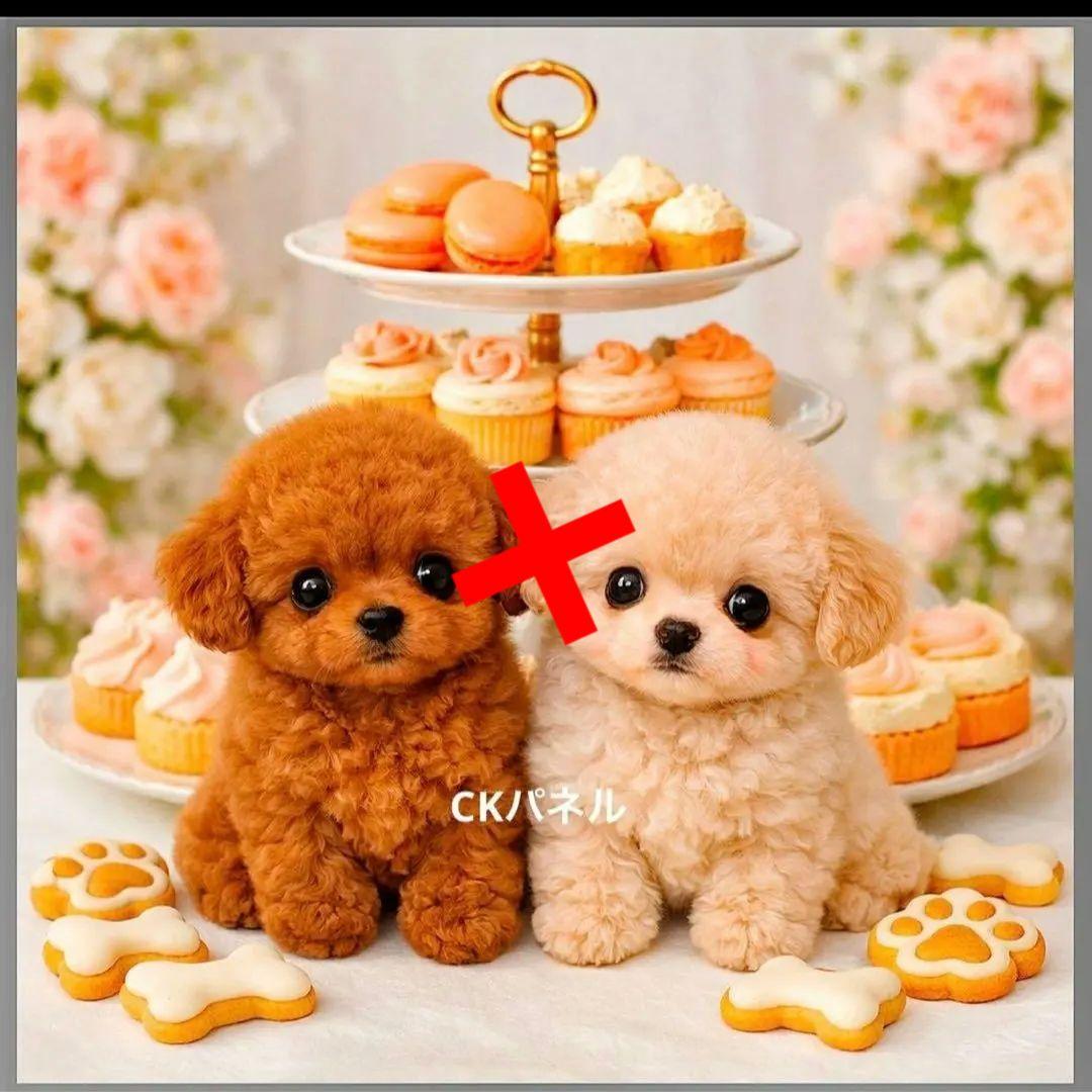 激レアチワワ、トイプー、マルチーズ、柴犬、パグ、ポメラニアンパネル生地