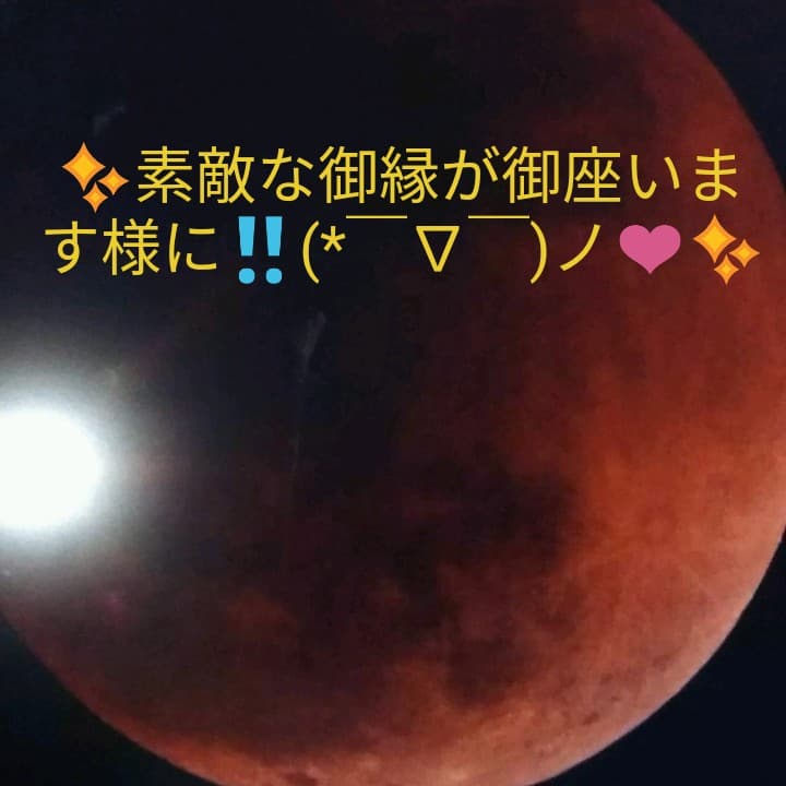 ✨【全沖縄貝殻手造り】『貝殻シーサー』置き物 貴重‼️✨レア物‼️✨