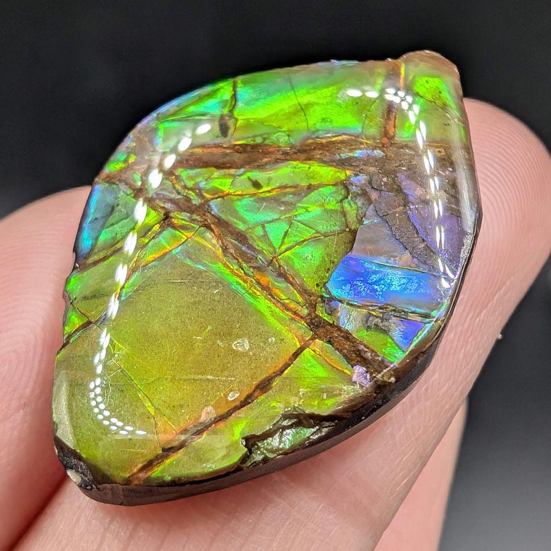 アンモライト　タンブル　E