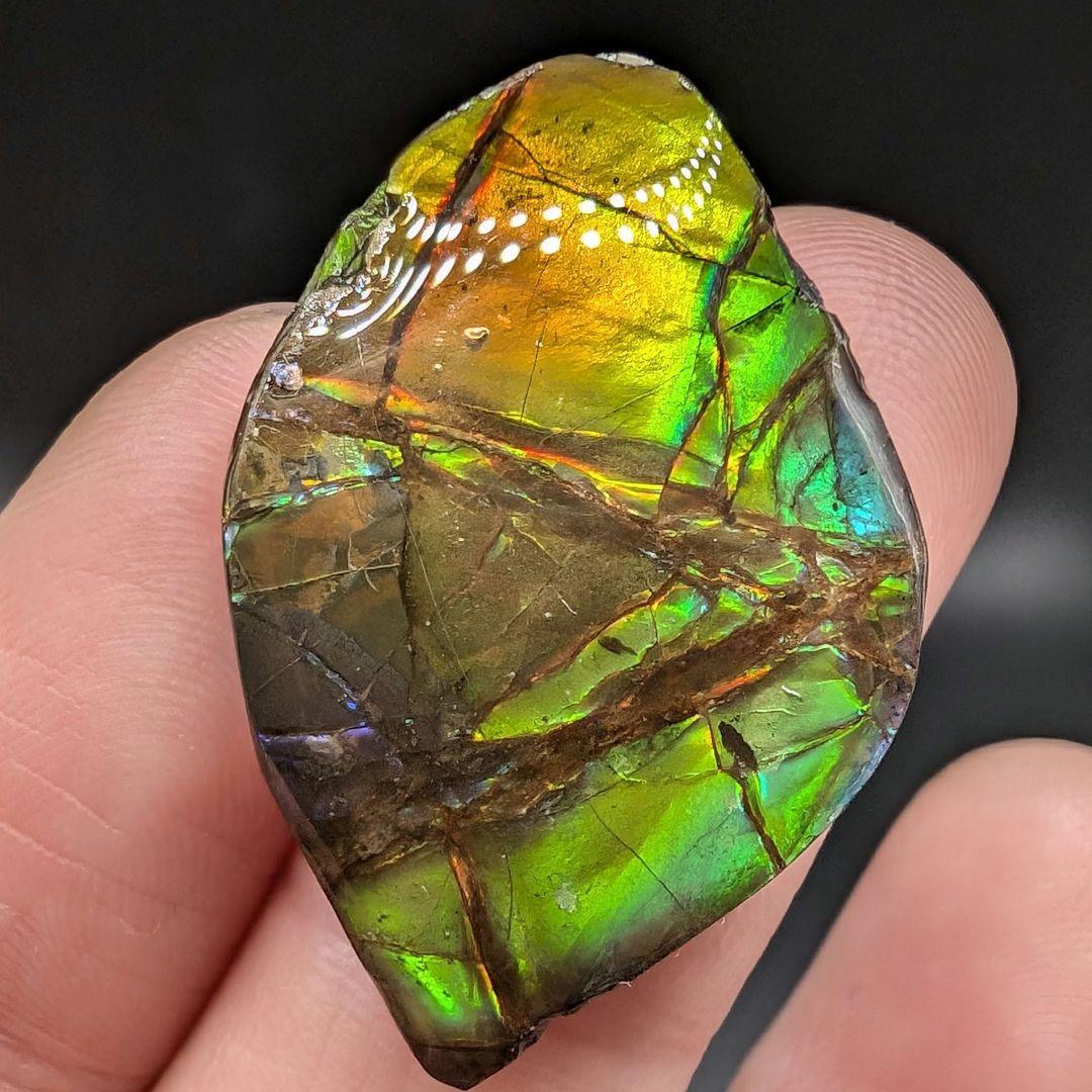 アンモライト　タンブル　E