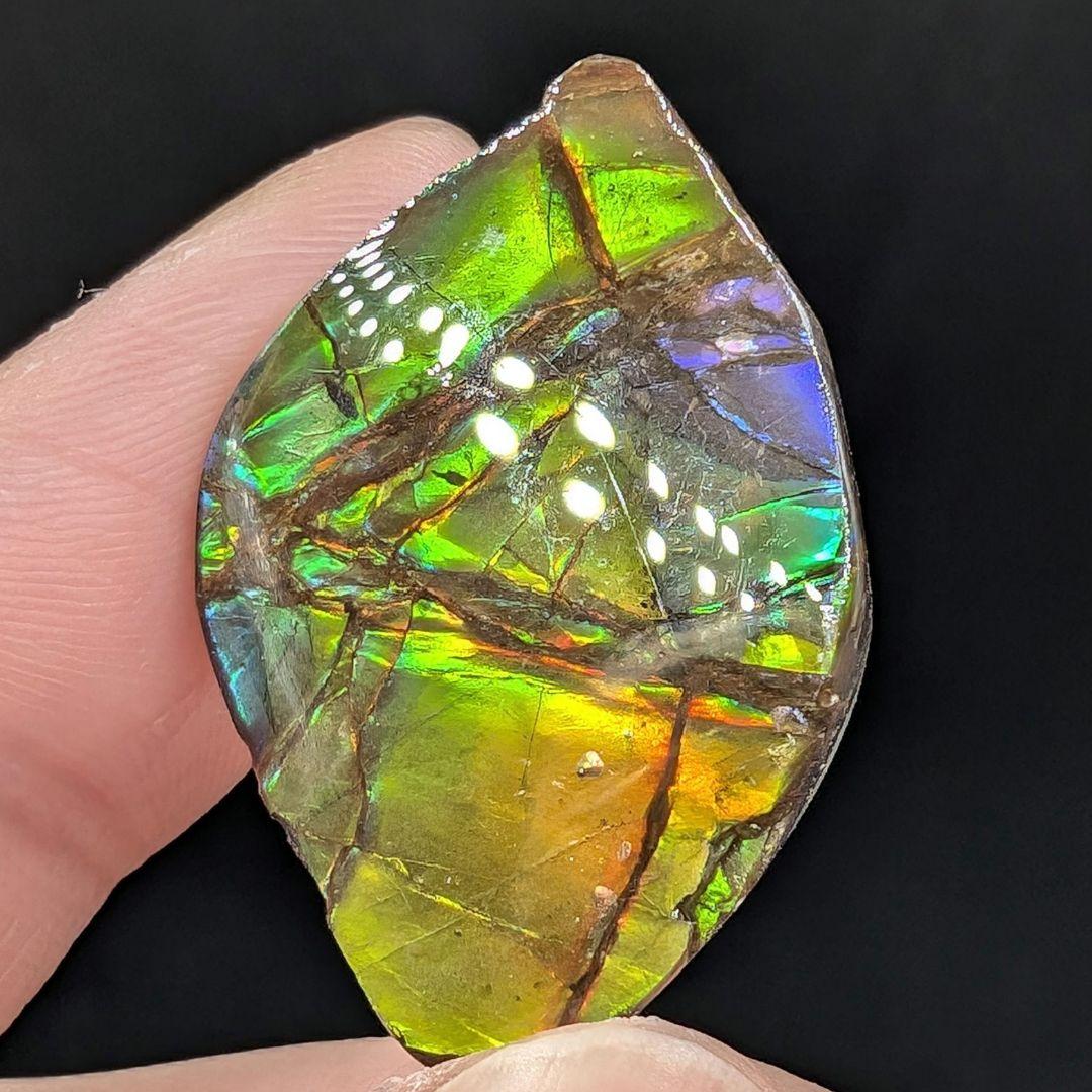 アンモライト　タンブル　E