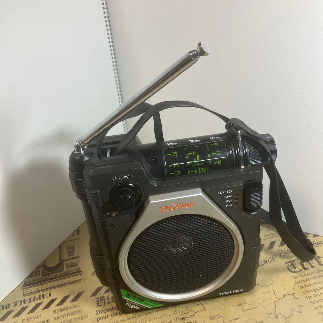 こんな良い状態のTRX1450 は超希少です