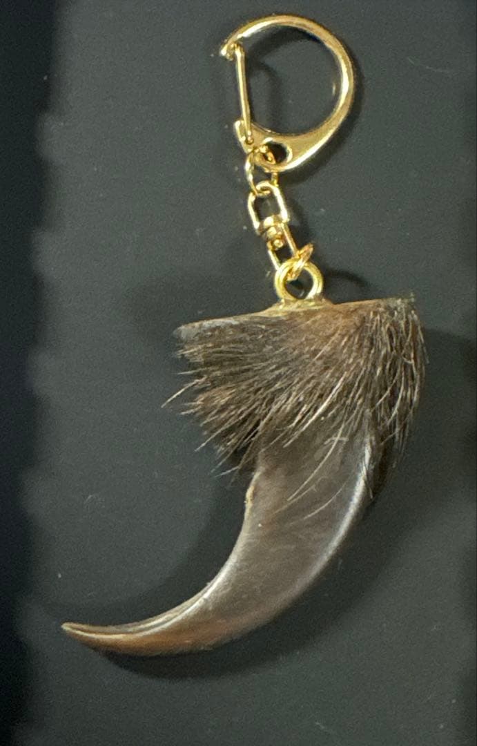 羆 熊の爪 お守り 7cm