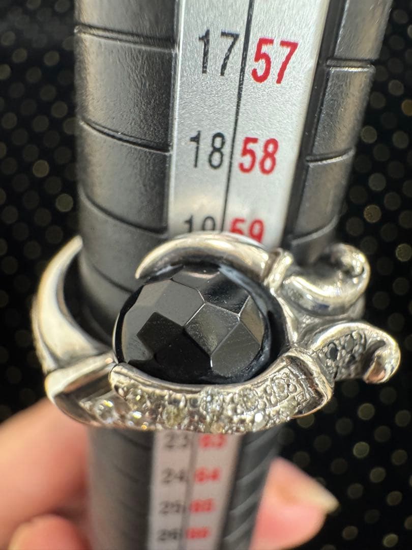 蛇デザイン シルバー925リング 22号