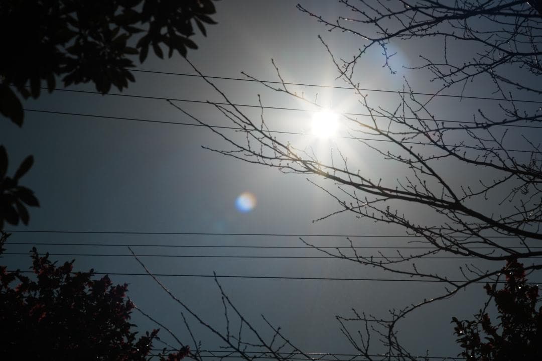 【整備＆テスト済】Canon FD 85mm F1.8 S.S.C 230