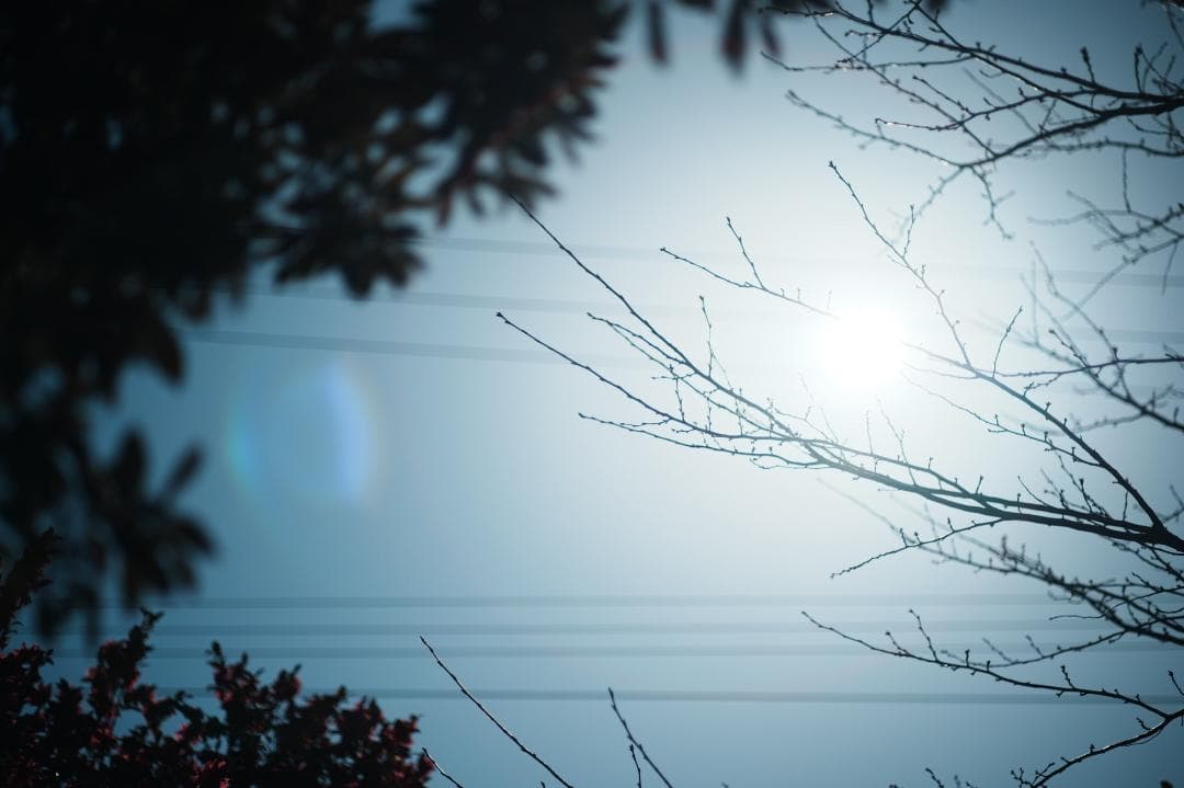 【整備＆テスト済】Canon FD 85mm F1.8 S.S.C 230