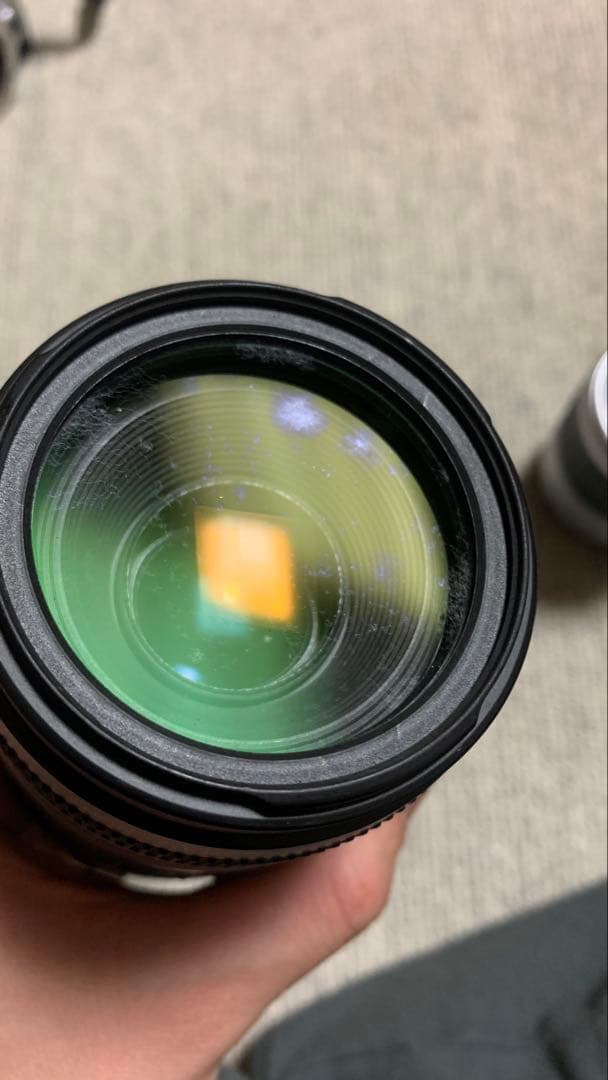 canon eos kiss5 フィルムカメラ