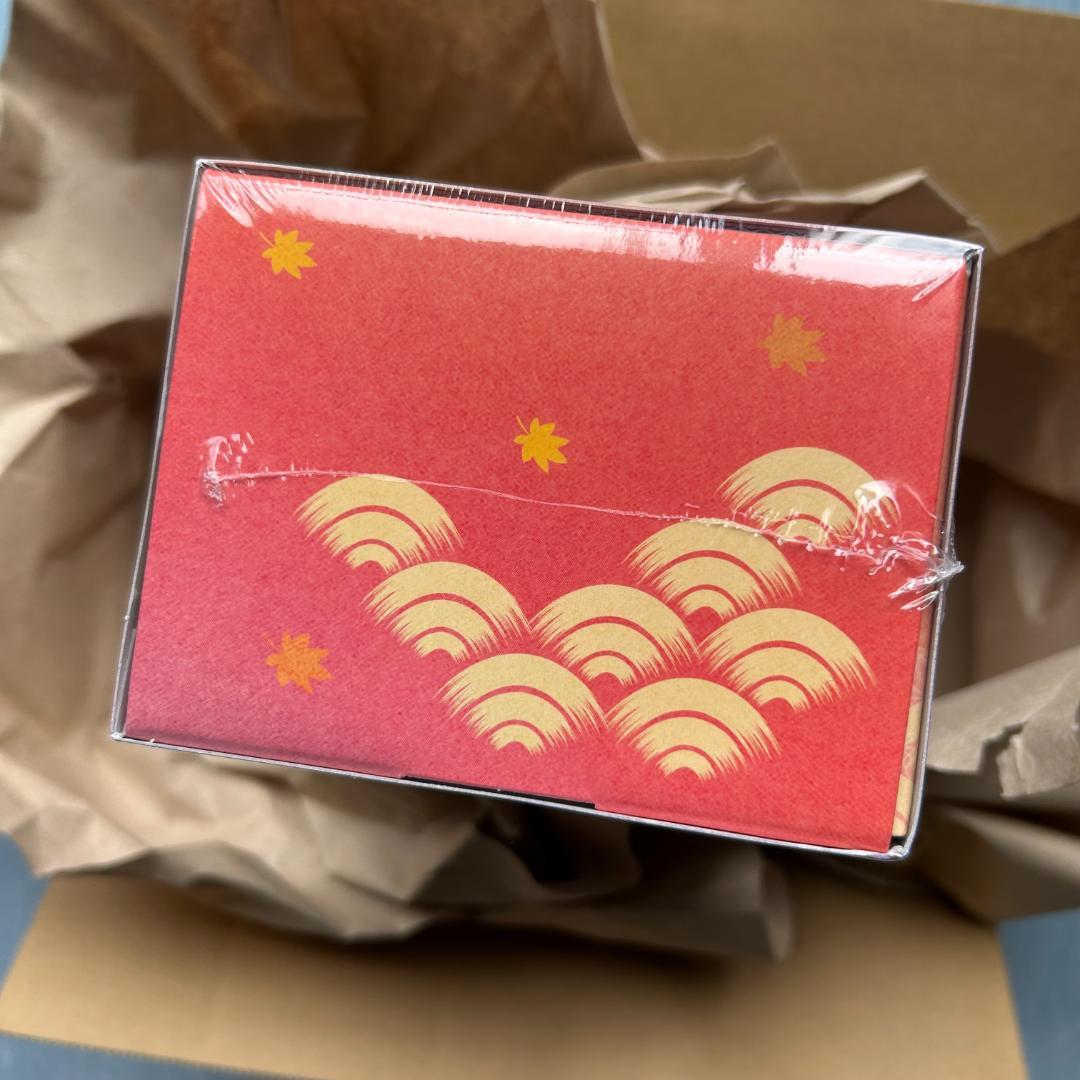 【未開封】スペシャル BOX ポケモンセンター ヒロシマ ポケモンカードゲーム