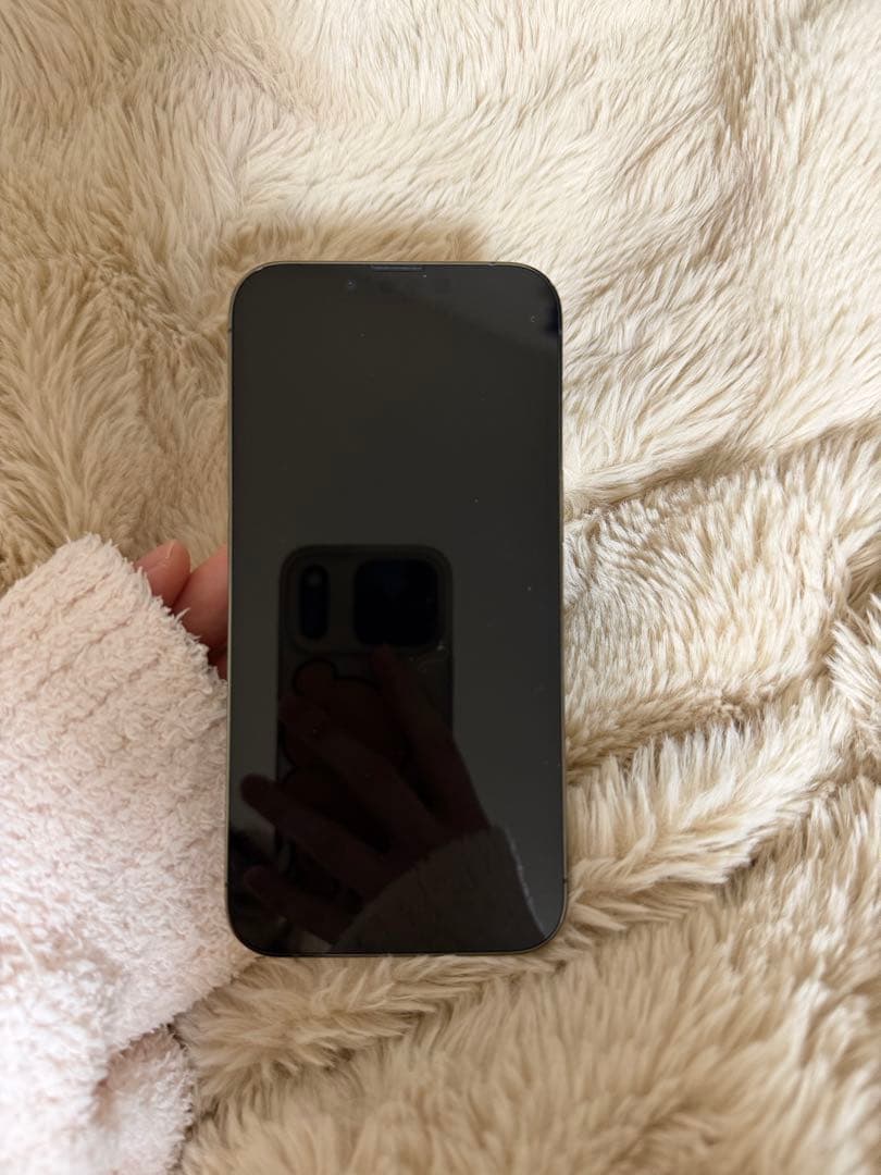 スマートフォン本体 excellent