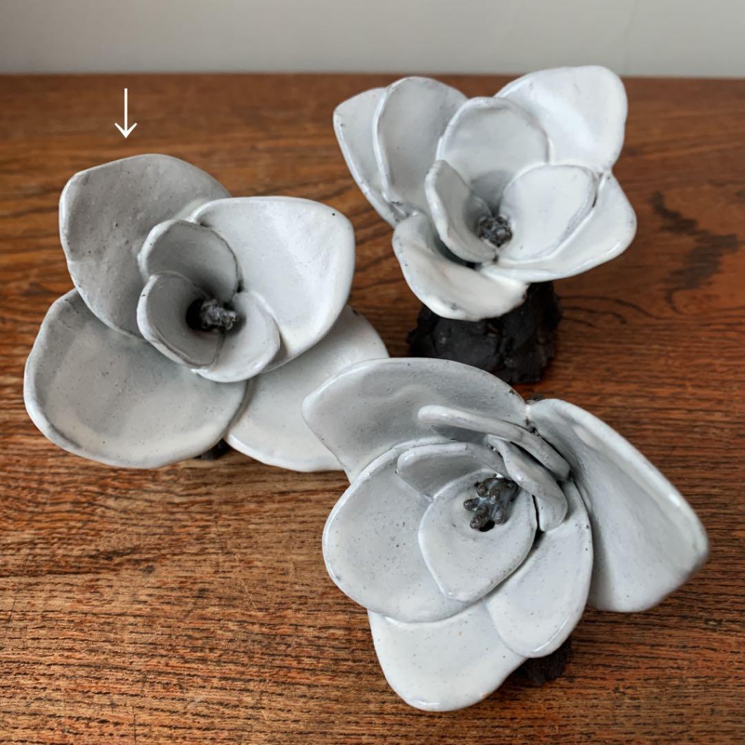 妻の作った　白木蓮　マグノリア　陶芸