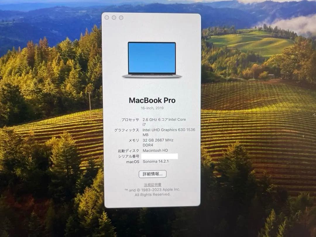 モ*ド様 【美品】Mac Book Pro 32GB 1TB 16インチ 付属付