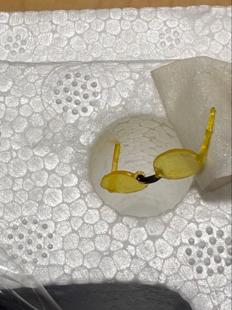 ワンピ　ース　ロビン　JTstudio製　新品未使用品。