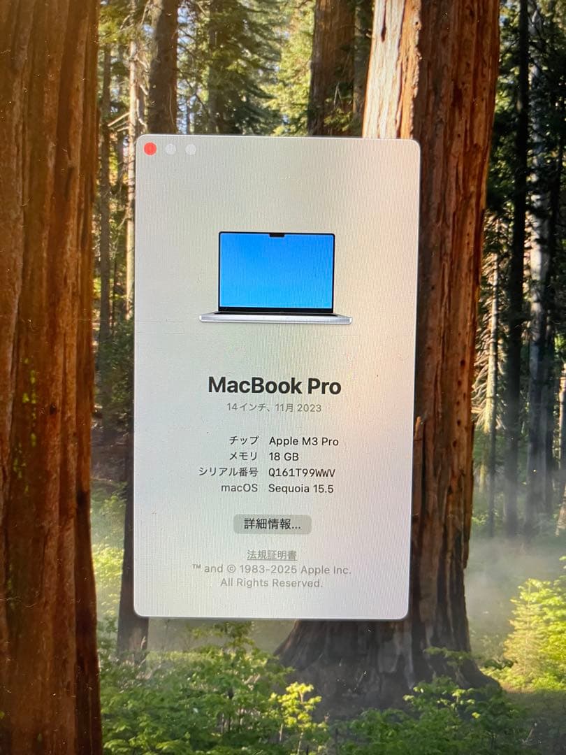 MacBook Pro M3 Pro 14インチ 18GB 1TB 早く売りたい