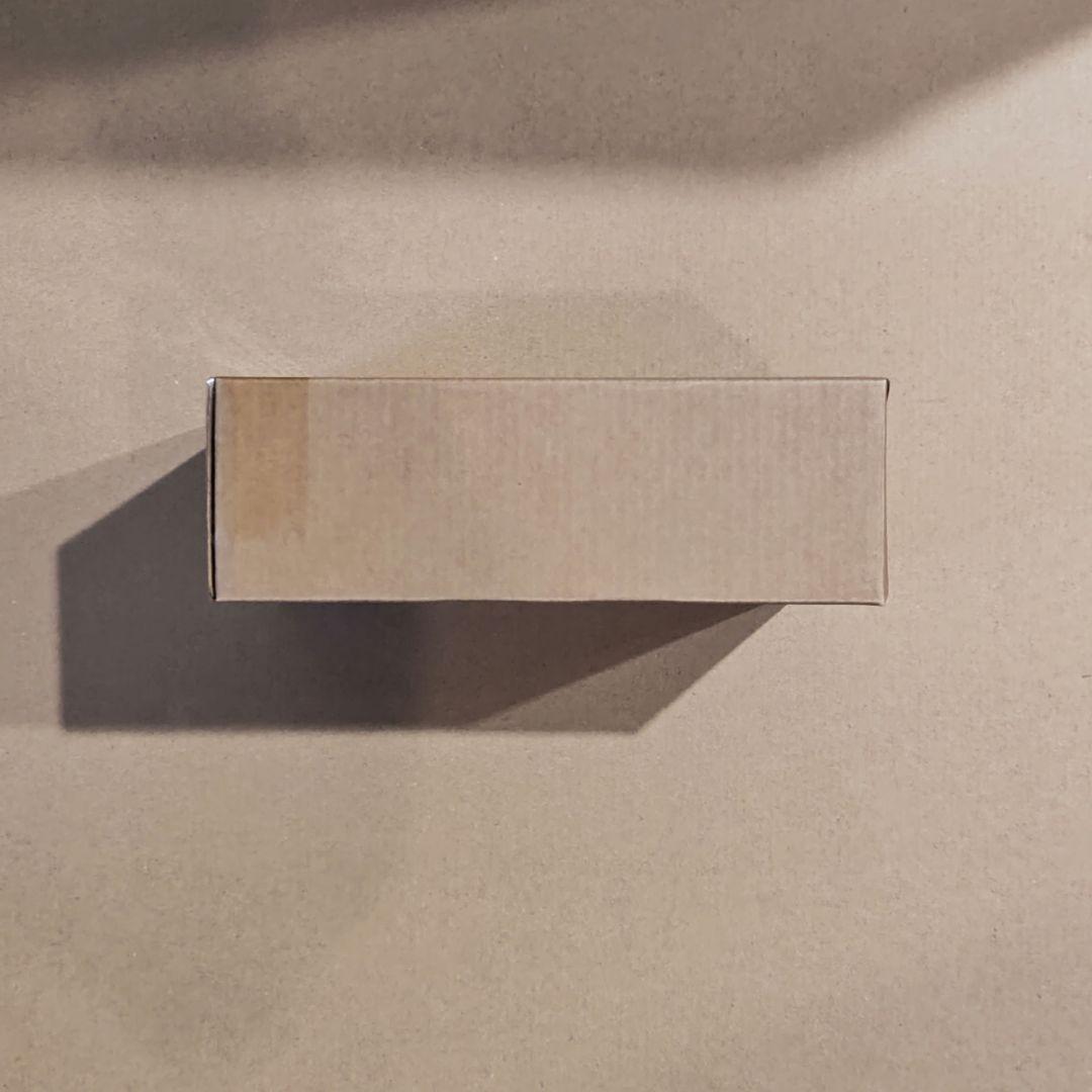 S.H.Figuarts 真骨彫製法 仮面ライダー1号 桜島 栄光の昭和ライダー