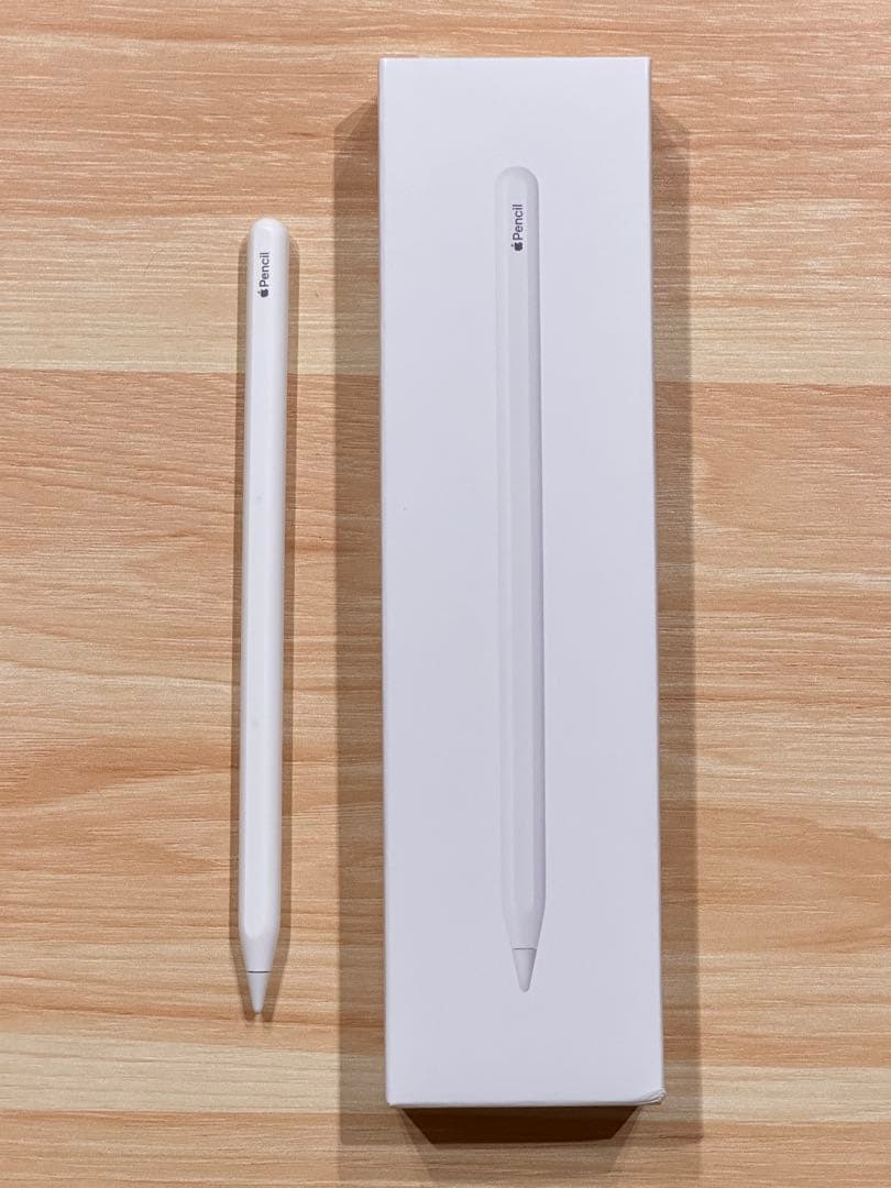 Apple iPad M1 11インチ スペースグレー　256GB【豪華セット】