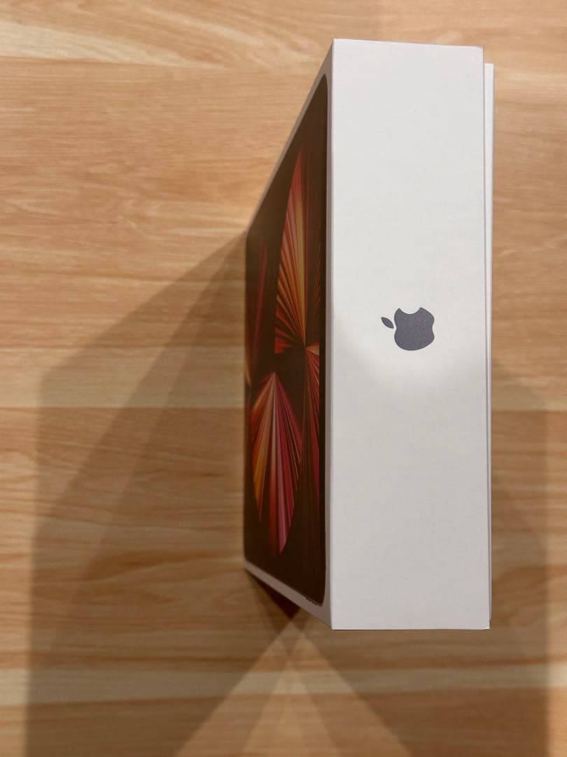 Apple iPad M1 11インチ スペースグレー　256GB【豪華セット】