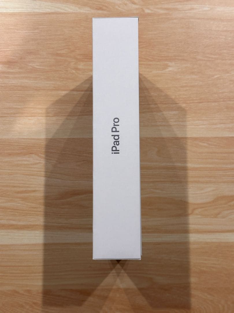 Apple iPad M1 11インチ スペースグレー　256GB【豪華セット】