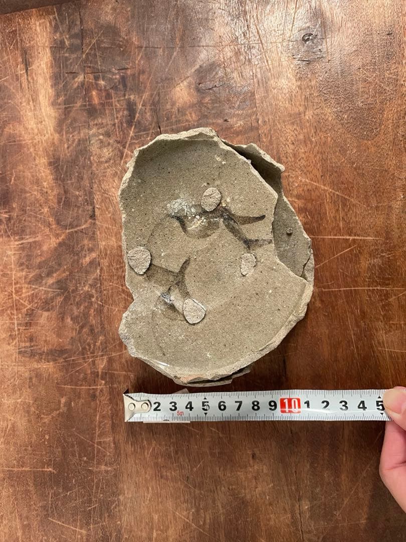 唐津陶片