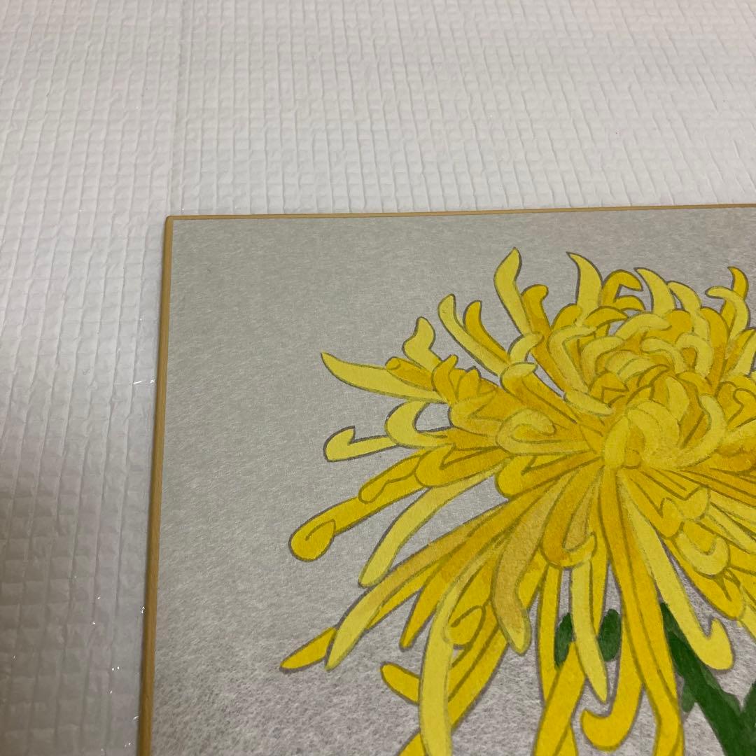 TS78 蝶園 小原蝶園 菊 日本画 色紙 銀地 縁起物 花鳥画 絵画 美術品