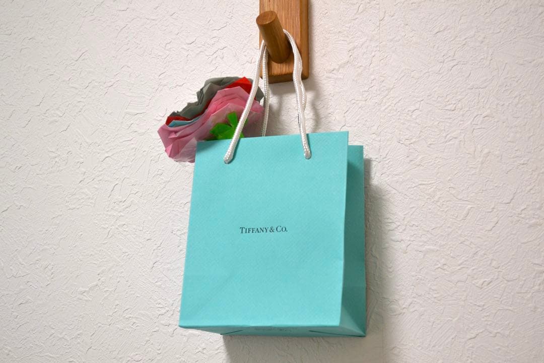 ✨スポーツ観戦におすすめ✨Nikon D3100✨ ダブルレンズ✨望遠レンズ