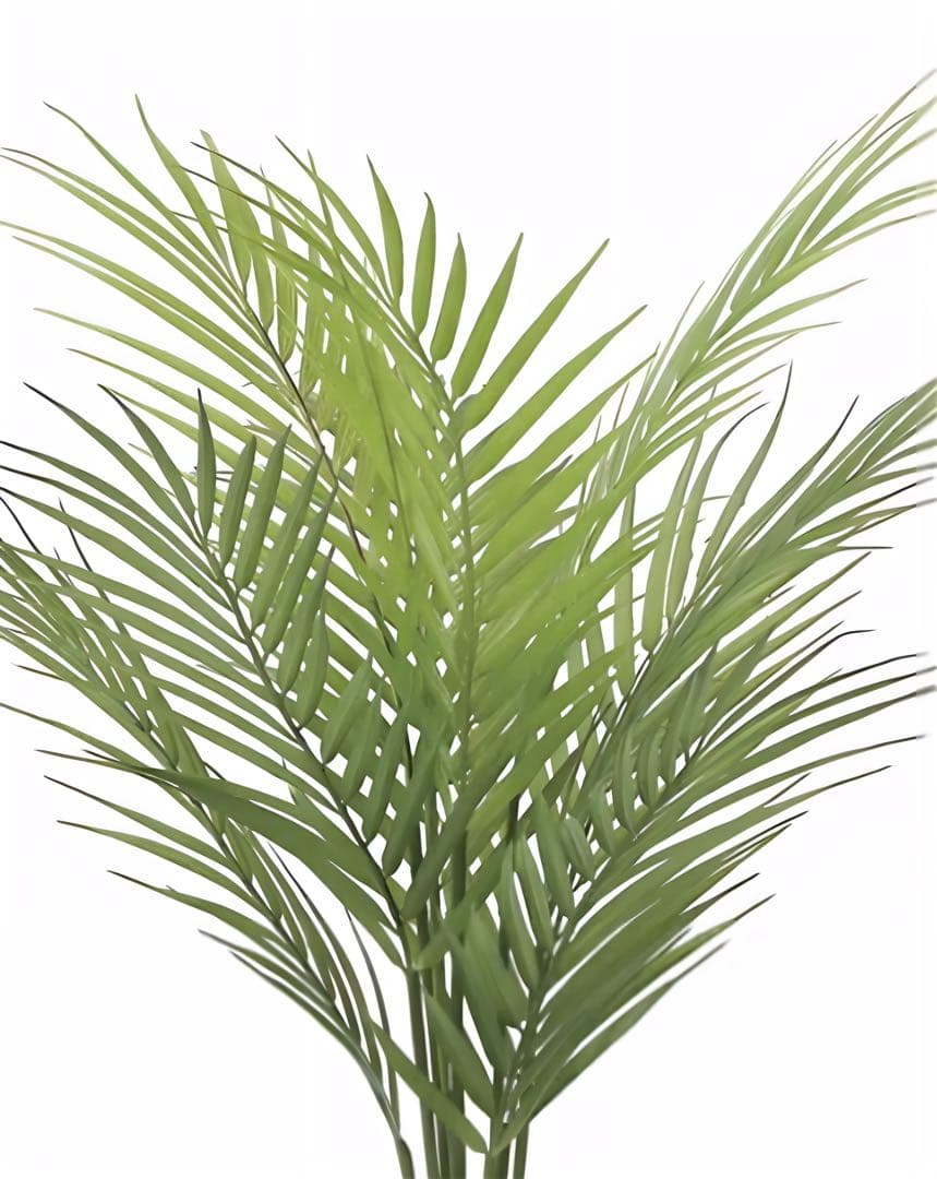 光触媒　人工観葉植物　ウォールグリーン　フェイクグリーン　パームツリー65