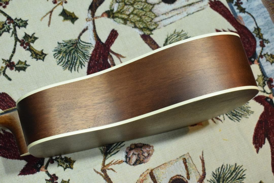 Stafford エレアコ SF-3D/NT 動作良好 ケース付き 新品弦