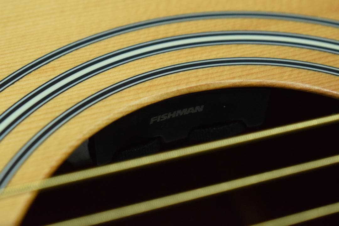 Stafford エレアコ SF-3D/NT 動作良好 ケース付き 新品弦