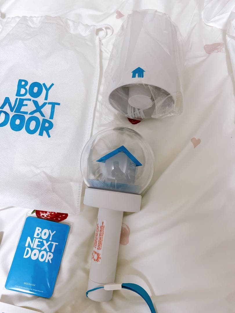 BOY NEXT DOOR ペンライトセット