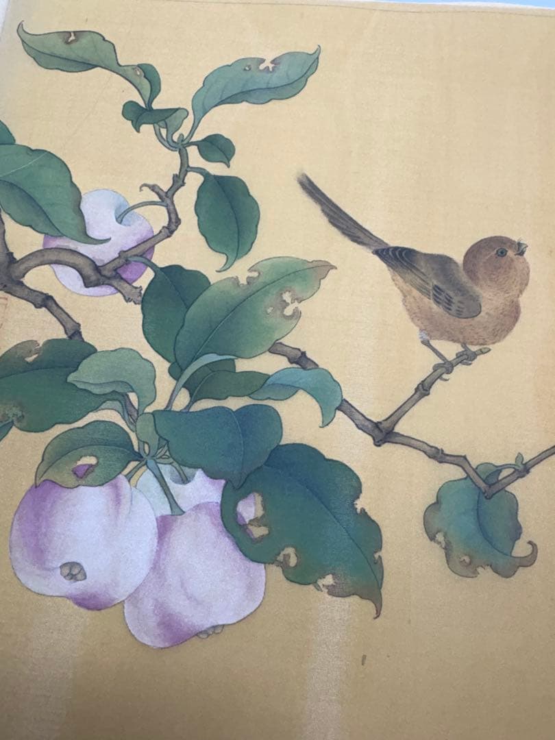 果熟来禽図　水墨画　肉筆絵画　宋画　模写
