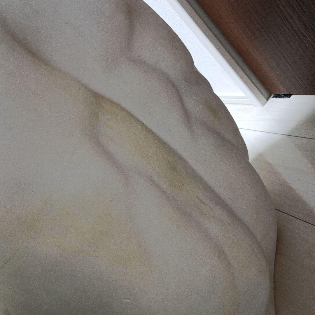 14,ラオコーン　巨大