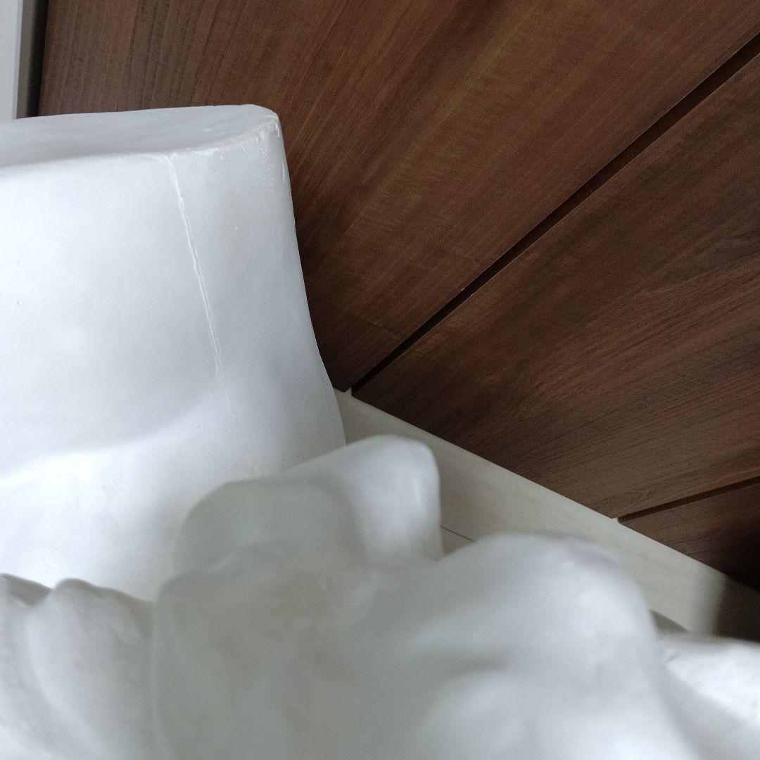 14,ラオコーン　巨大