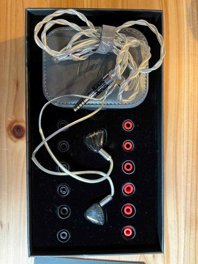 QoA NewMojito 有線イヤホン