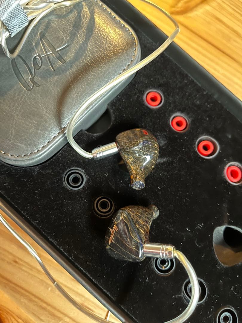 QoA NewMojito 有線イヤホン