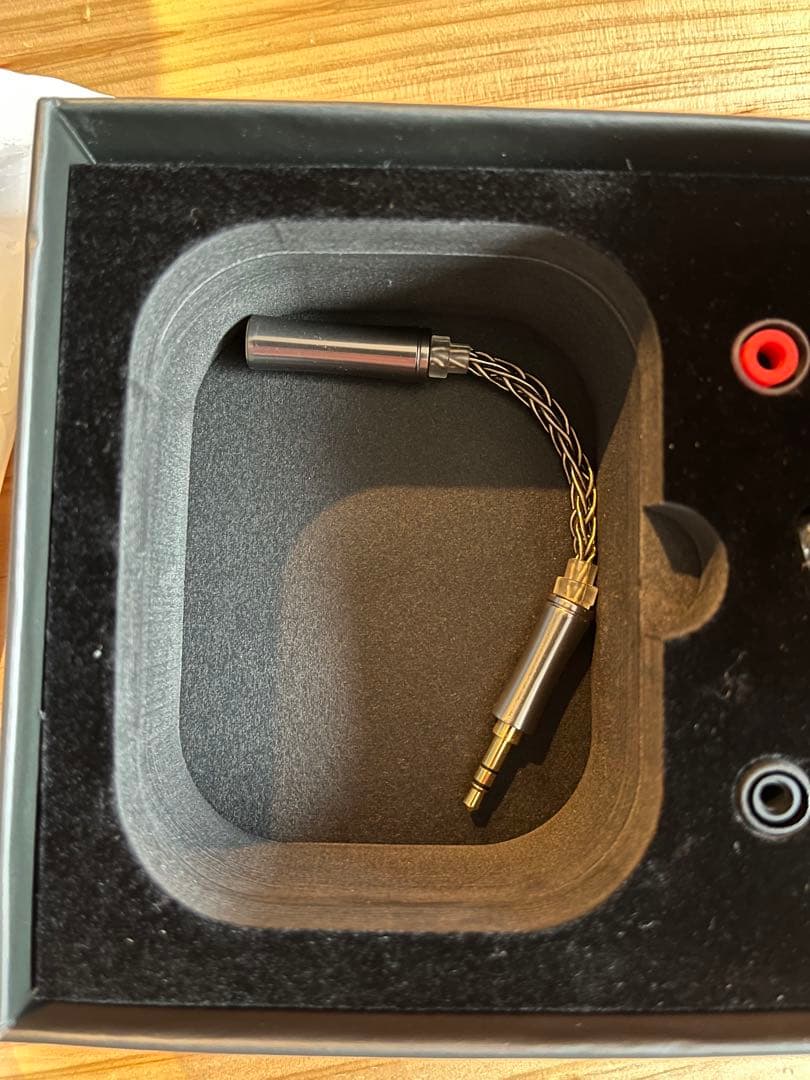 QoA NewMojito 有線イヤホン