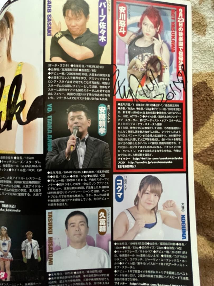 スターダム観戦ガイドブック 紫雷イオ、岩谷麻優、サンダーロックカード付き