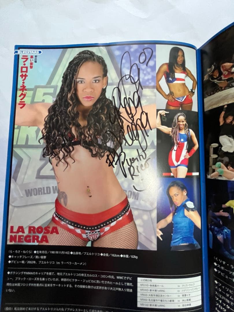 スターダム観戦ガイドブック 紫雷イオ、岩谷麻優、サンダーロックカード付き