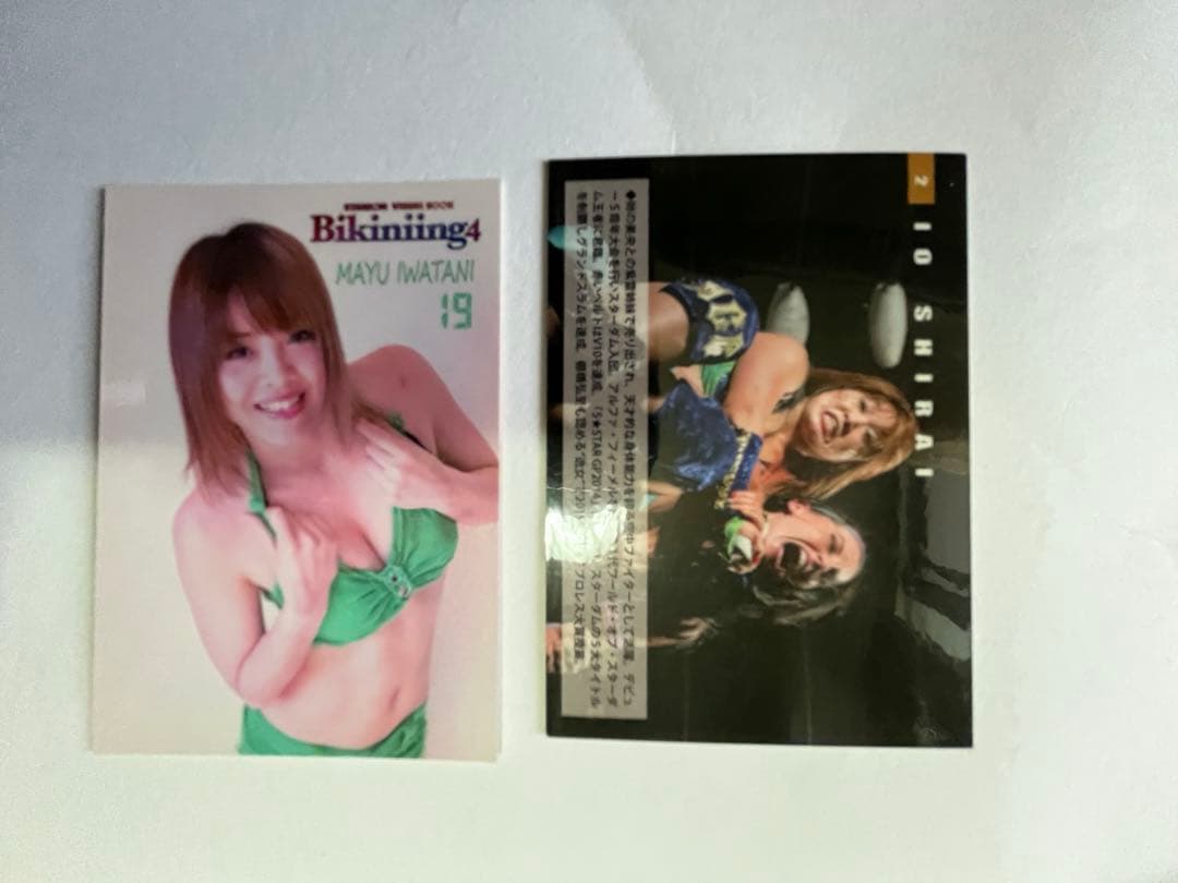 スターダム観戦ガイドブック 紫雷イオ、岩谷麻優、サンダーロックカード付き