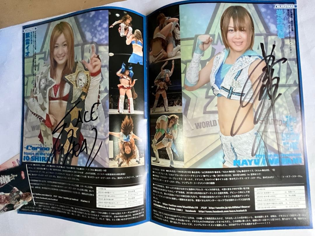 スターダム観戦ガイドブック 紫雷イオ、岩谷麻優、サンダーロックカード付き