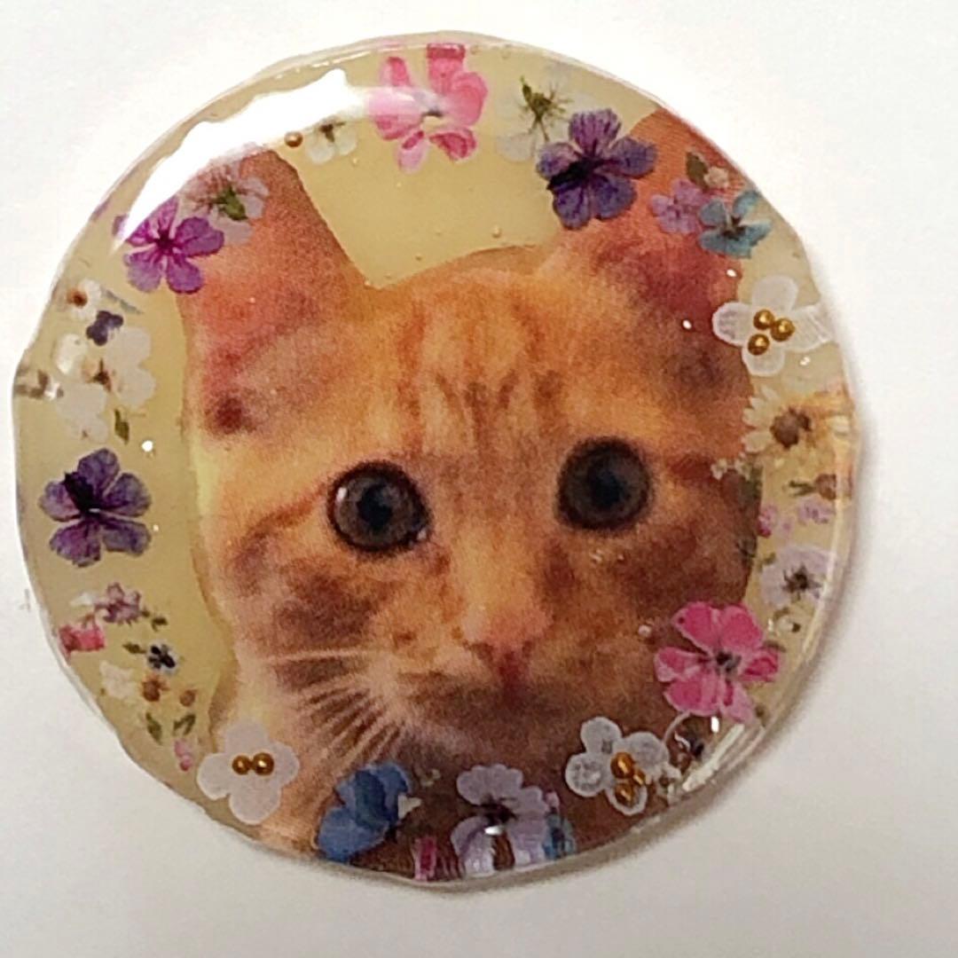 レジンヘアゴムNO.296おすまし猫ちゃん