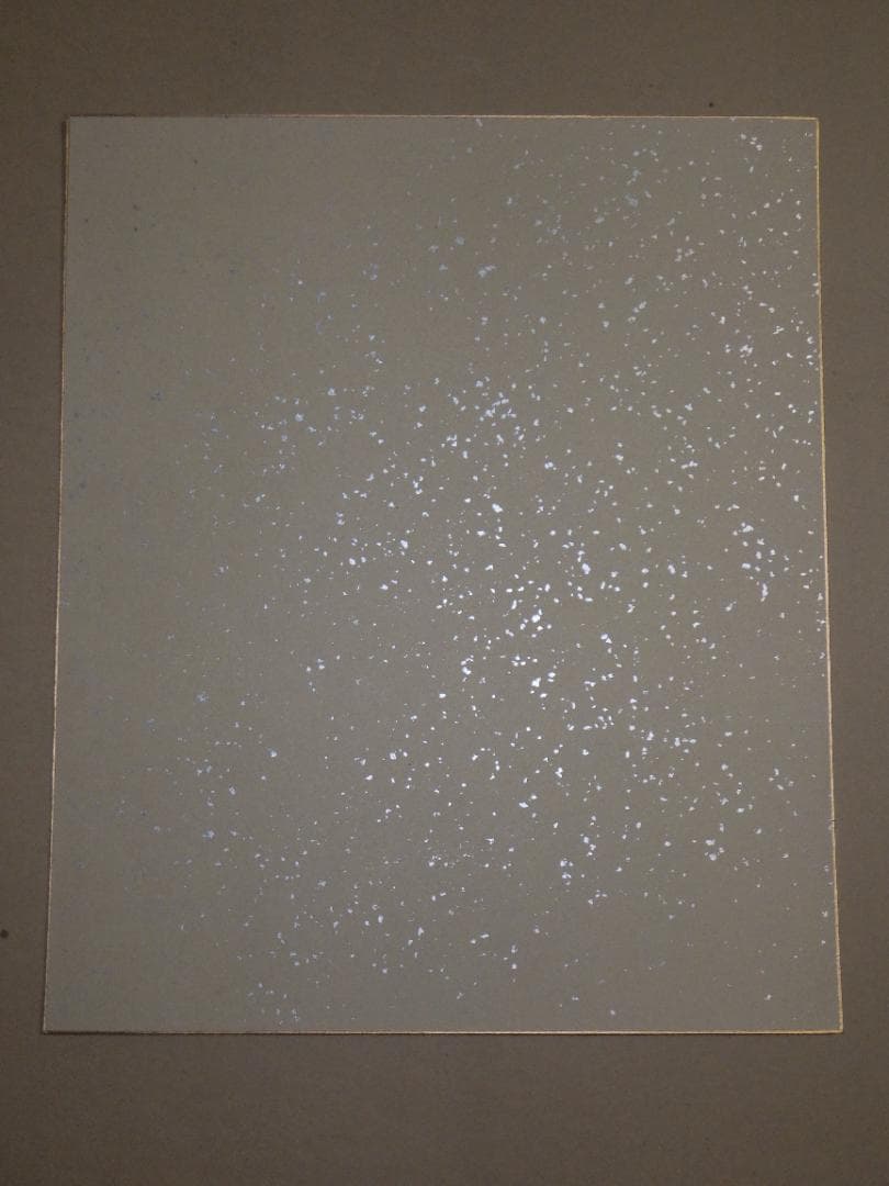 真作 福田浩湖 日本画 画賛 猛虎一撃 寅 肉筆 落款 大色紙 36×30