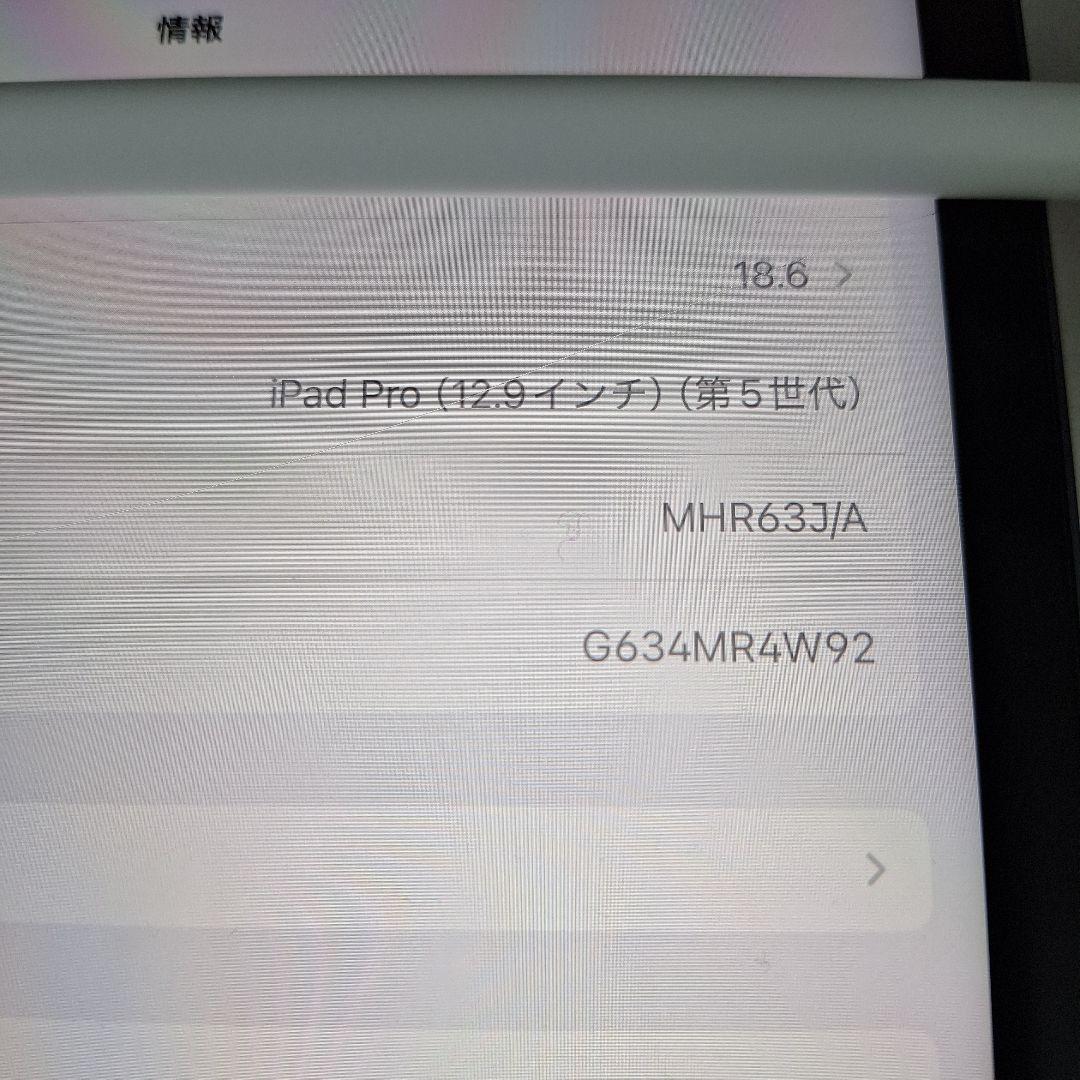 iPad Pro (12.9インチ) 第5世代 256GB