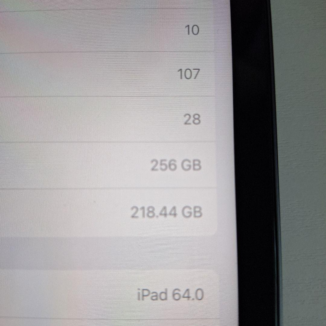 iPad Pro (12.9インチ) 第5世代 256GB