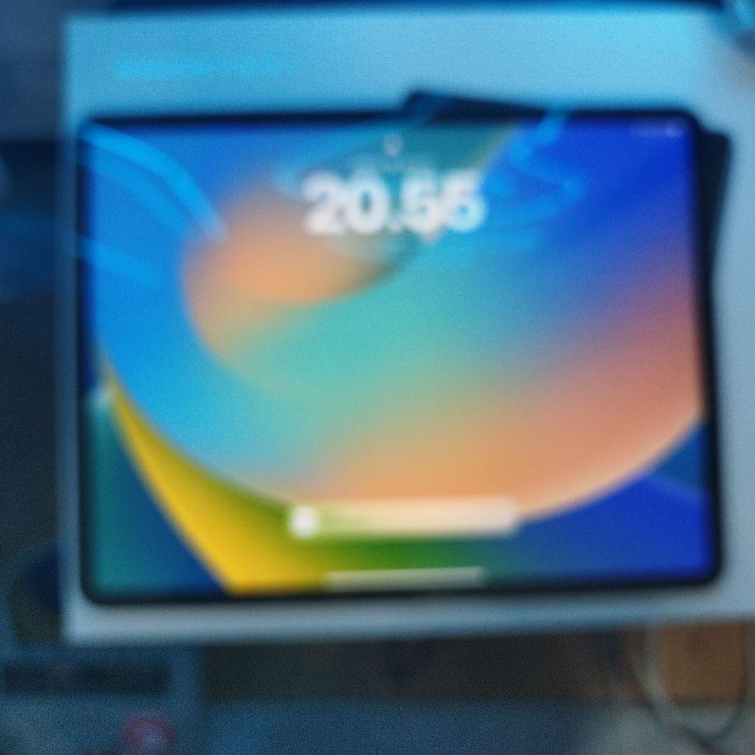 Apple iPad Pro (12.9インチ, 第5世代) 512GB